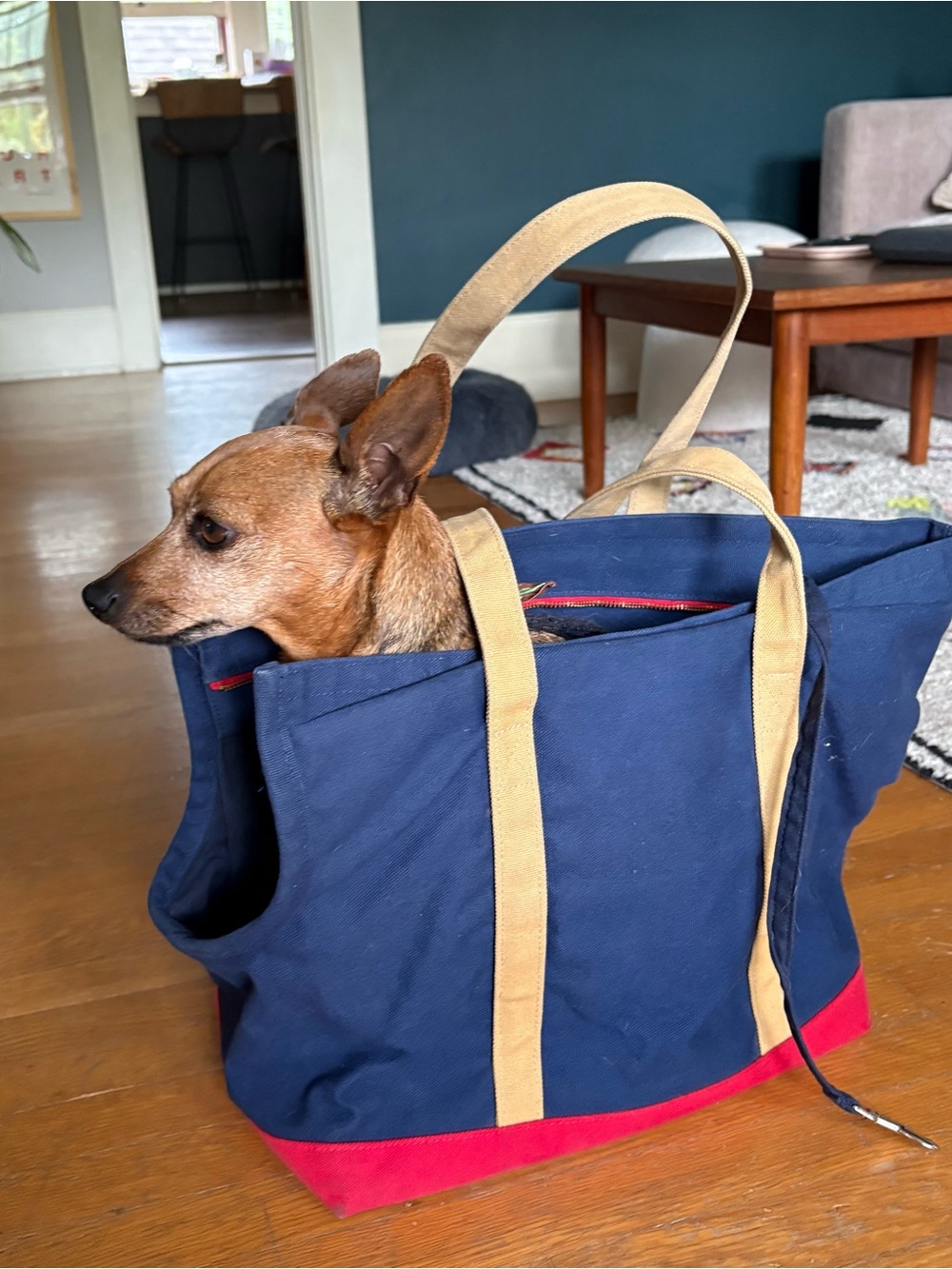 Navy & Red Canvas Pet Tote with Tan Straps - Picture 11 of 11